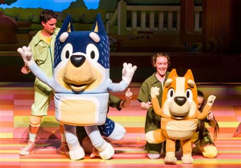 Bluey live show - A live stage show developed in 2019, titled Bluey's Big Play, toured in fifty theatres around Australia and featured the characters from the series. [67] [153] The tour was initially scheduled to begin in May 2020, but was delayed due to restrictions relating to the COVID-19 pandemic. [154] 